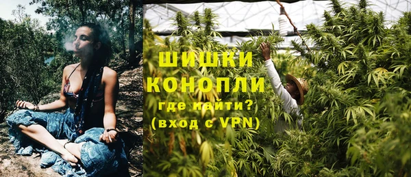 ГАЛЛЮЦИНОГЕННЫЕ ГРИБЫ Абдулино