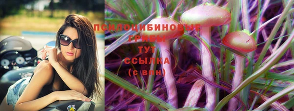 ГАЛЛЮЦИНОГЕННЫЕ ГРИБЫ Абдулино