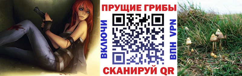Псилоцибиновые грибы GOLDEN TEACHER Райчихинск